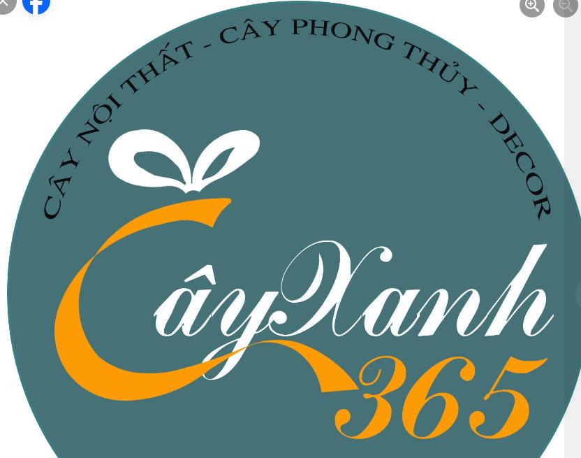 Cây Xanh 365 Hạ Long